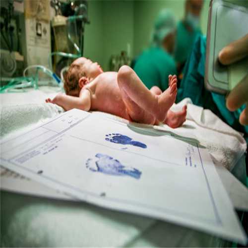 试管婴儿移植两个囊胚成功率高不高